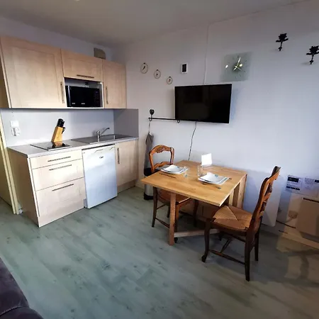 Appartement Calme Proche Pistes Ski, Les Adrets-prapoutel - Fr-1-771-70 *